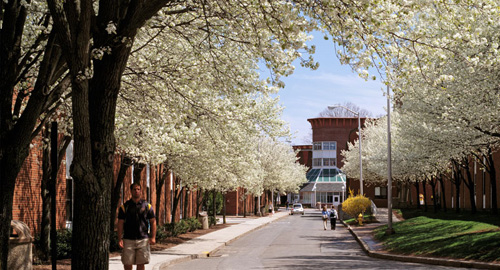 Quinnipiac University Online Master's