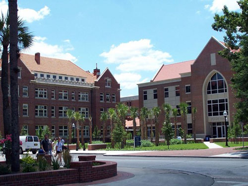University of Florida Online Master's