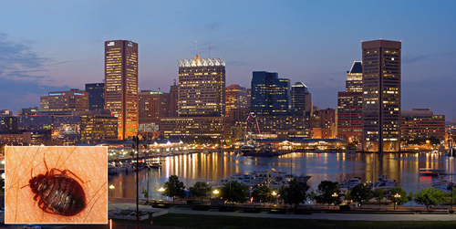 Baltimore's Skyline at night. Baltimore, Maryland, USA.