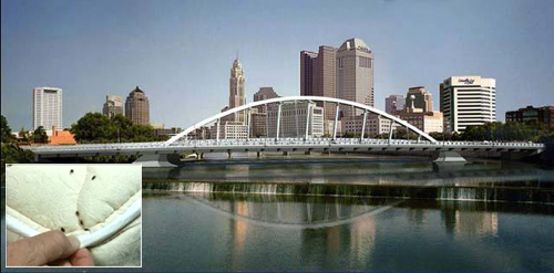 5. Columbus