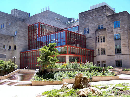 Top 30 Public Ivy Colleges Offering a Healthcare Management Degree