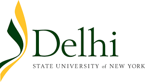 suny-delhi