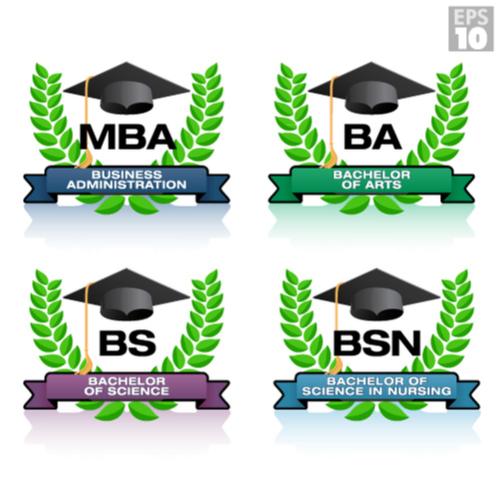 bsn mba